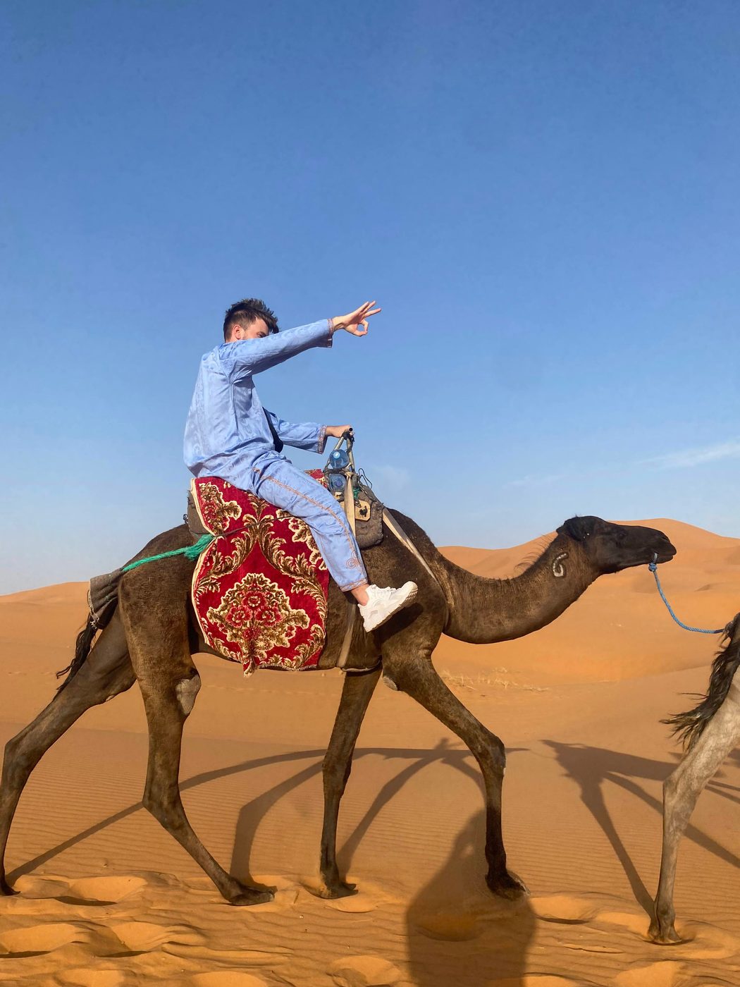Camel riding in the Sahara Desert, Morocco